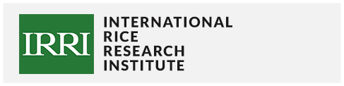 International Rice Research Institute
